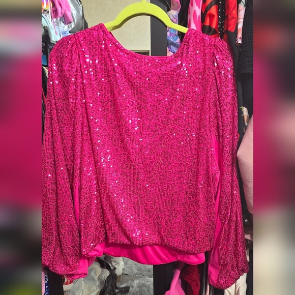 🍂🍁NWOT TORRID 3X Sequin Deep V-Neck Long Sleeve Blouse - Picture 4 of 5